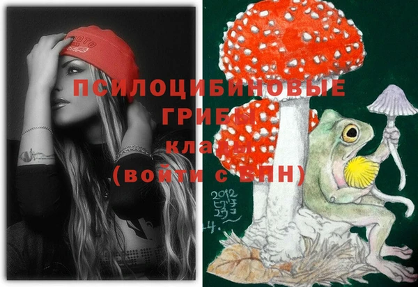 метадон Ладушкин