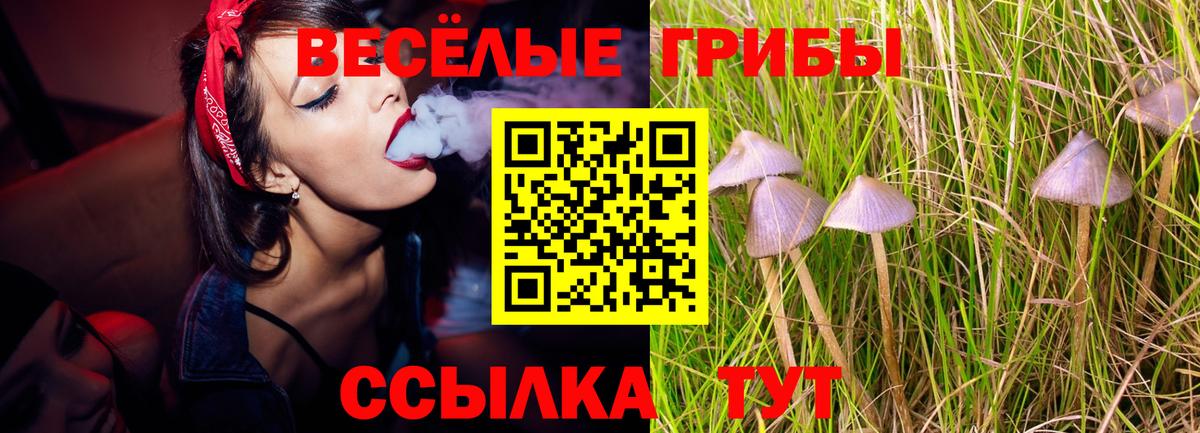Псилоцибиновые грибы прущие грибы Протвино