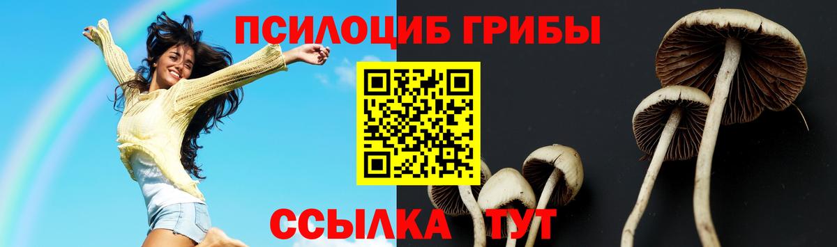 Протвино  Галлюциногенные грибы Psilocybe  где можно купить наркотик  Вход с VPN 