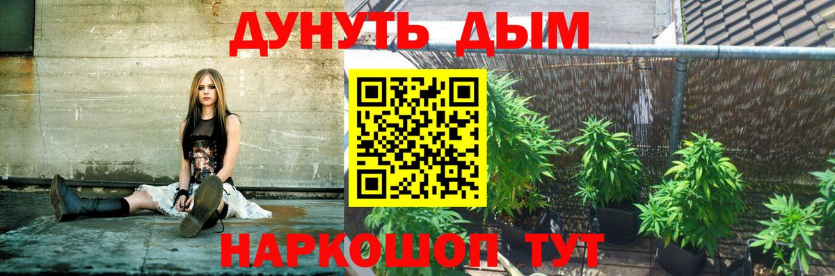 Канабис план Протвино